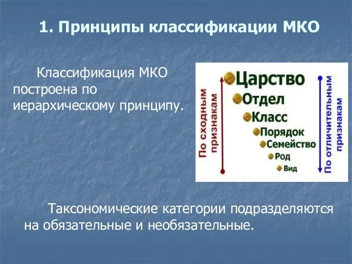 1. Принципы классификации МКО Классификация МКО построена по иерархическому принципу.
