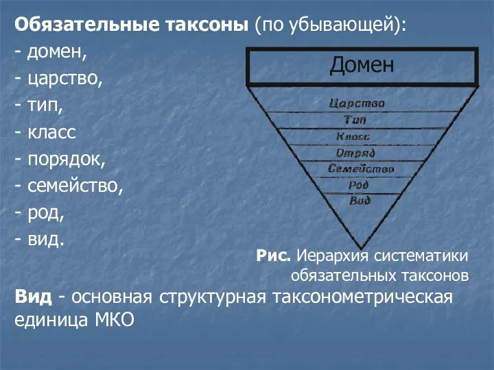 Обязательные таксоны (по убывающей): - домен, - царство, - тип,