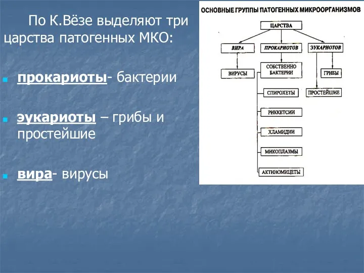 По К.Вёзе выделяют три царства патогенных МКО: прокариоты- бактерии эукариоты – грибы и простейшие вира- вирусы