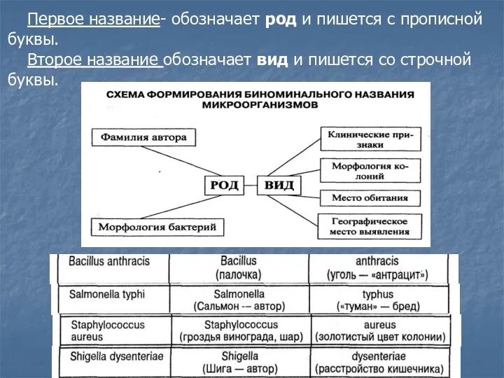 Первое название- обозначает род и пишется с прописной буквы. Второе