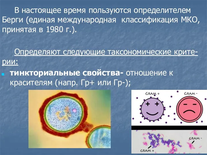 В настоящее время пользуются определителем Берги (единая международная классификация МКО,