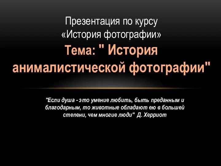 "Если душа - это умение любить, быть преданным и благодарным,