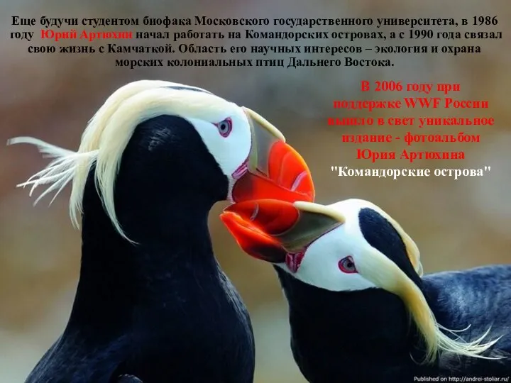 Еще будучи студентом биофака Московского государственного университета, в 1986 году