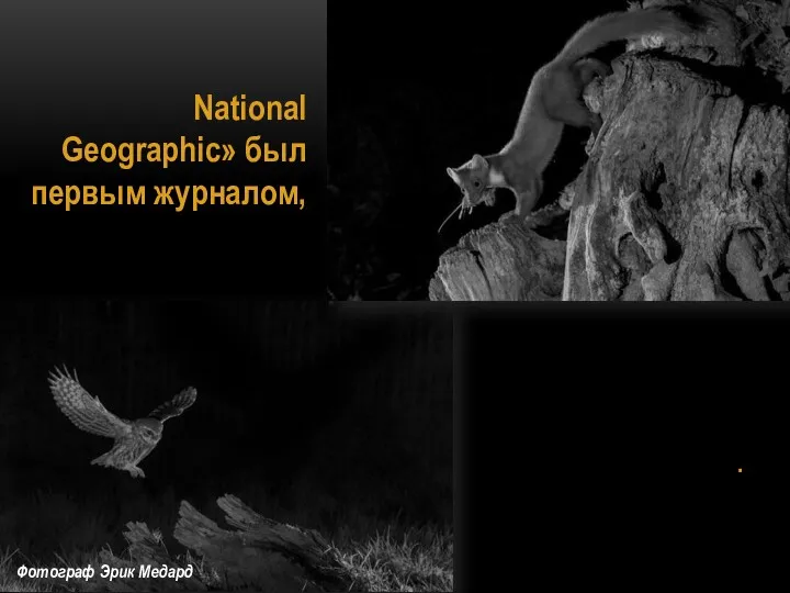 National Geographic» был первым журналом, который опубликовал ночные снимки животных. Фотограф Эрик Медард