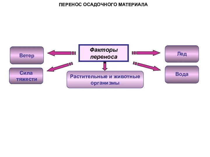 ПЕРЕНОС ОСАДОЧНОГО МАТЕРИАЛА Факторы переноса Сила тяжести Растительные и животные организмы Вода Ветер Лед