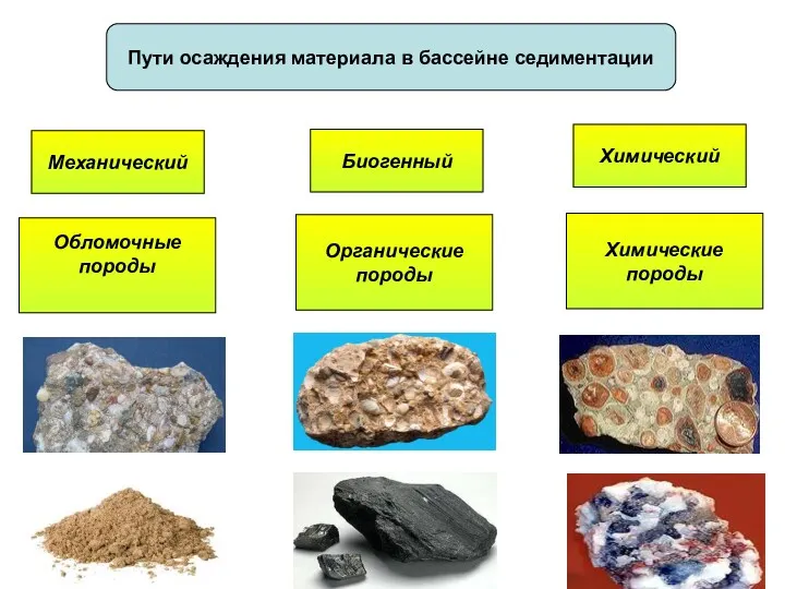 Пути осаждения материала в бассейне седиментации Химический Механический Биогенный Обломочные породы Химические породы Органические породы