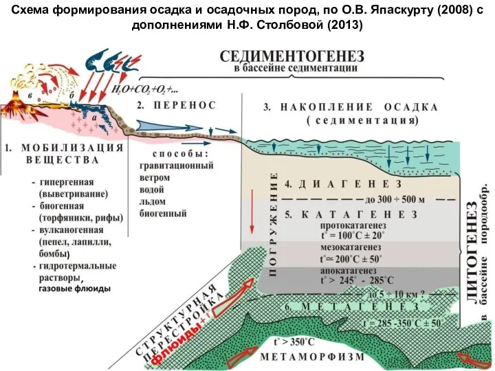 Схема формирования осадка и осадочных пород, по О.В. Япаскурту (2008) с дополнениями Н.Ф. Столбовой (2013)