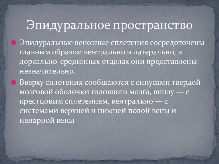 Эпидуральные венозные сплетения сосредоточены главным образом вентрально и латерально, в