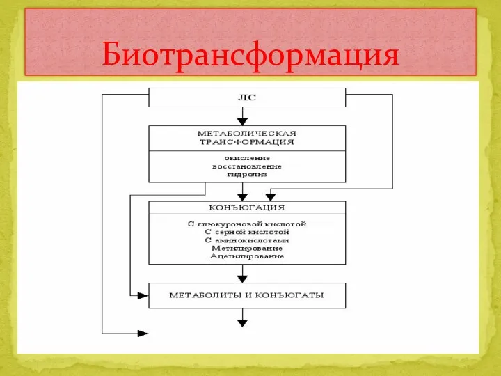 Биотрансформация