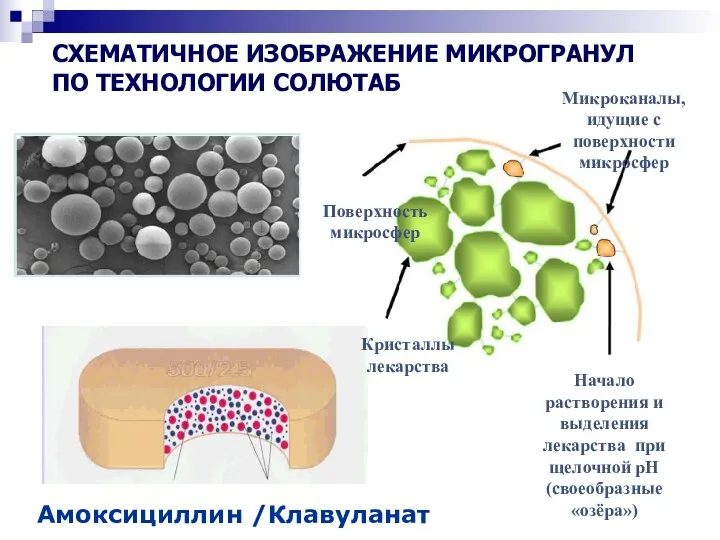 СХЕМАТИЧНОЕ ИЗОБРАЖЕНИЕ МИКРОГРАНУЛ ПО ТЕХНОЛОГИИ СОЛЮТАБ Амоксициллин /Клавуланат Кристаллы лекарства