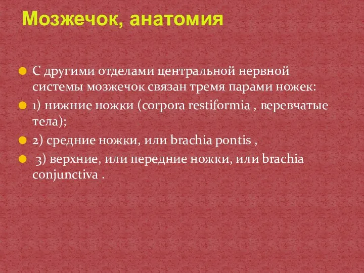 С другими отделами центральной нервной системы мозжечок связан тремя парами