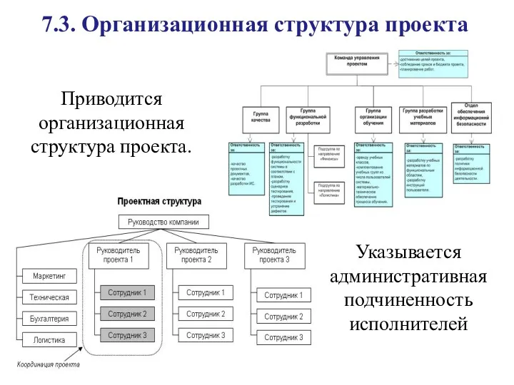 7.3. Организационная структура проекта Приводится организационная структура проекта. Указывается административная подчиненность исполнителей