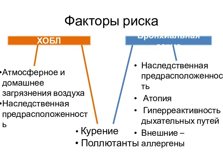 Факторы риска Наследственная предрасположенность Атопия Гиперреактивность дыхательных путей Внешние –