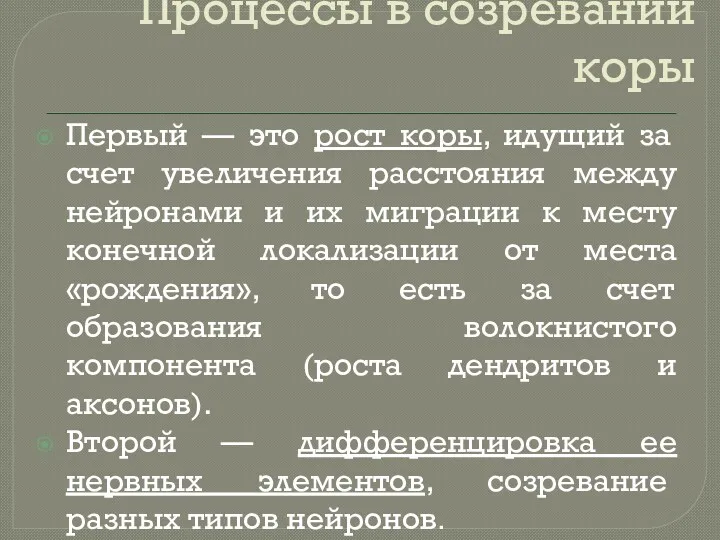 Процессы в созревании коры Первый — это рост коры, идущий