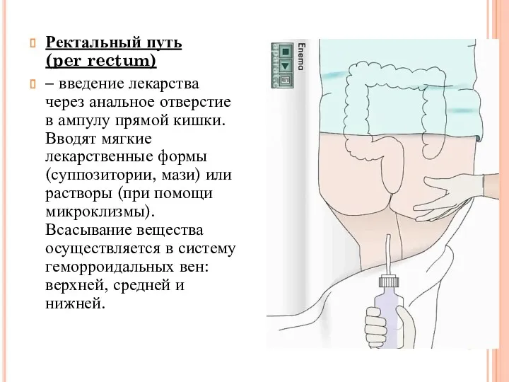 Ректальный путь (per rectum) – введение лекарства через анальное отверстие