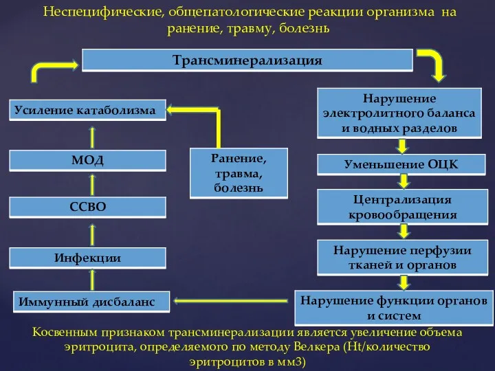 Косвенным признаком трансминерализации является увеличение объема эритроцита, определяемого по методу