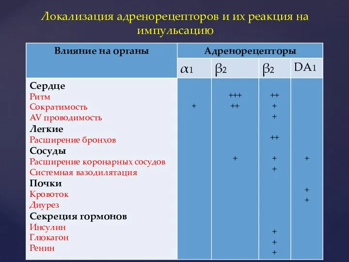 Локализация адренорецепторов и их реакция на импульсацию