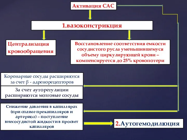 Централизация кровообращения 1.вазоконстрикция Восстановление соответствия емкости сосудистого русла уменьшившемуся объему