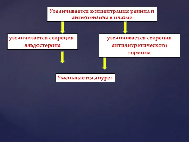 Увеличивается концентрация ренина и ангиотензина в плазме увеличивается секреция альдостерона Уменьшается диурез увеличивается секреция антидиуретического гормона