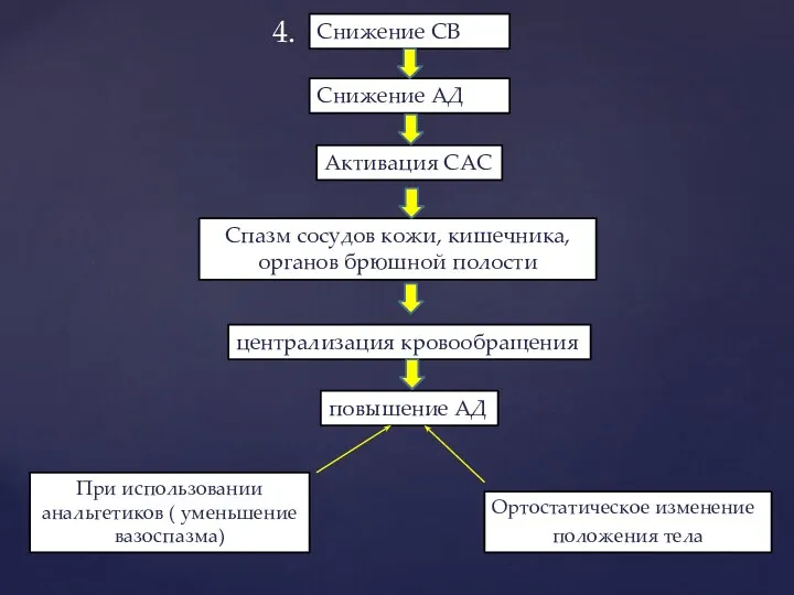 Снижение СВ Снижение АД Активация САС Спазм сосудов кожи, кишечника,