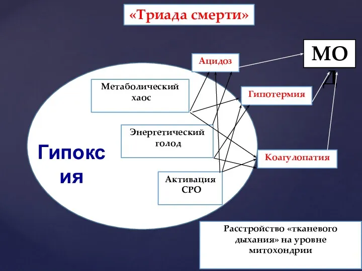 Гипоксия Метаболический хаос Энергетический голод Активация СРО Ацидоз Гипотермия Коагулопатия