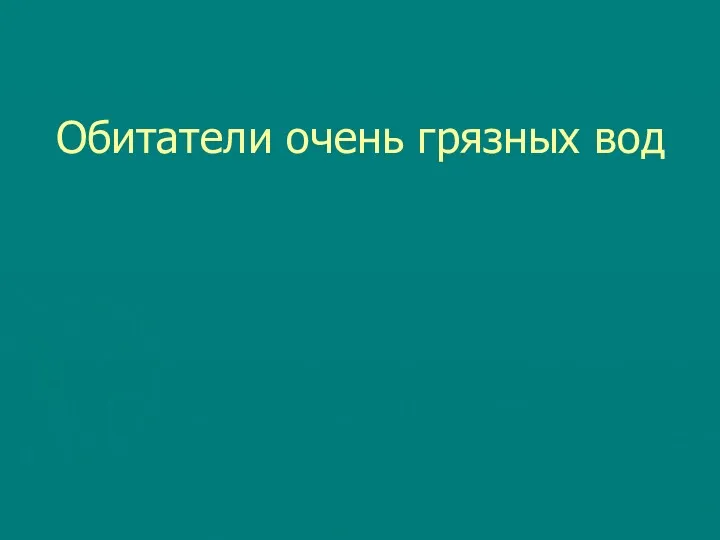 Обитатели очень грязных вод