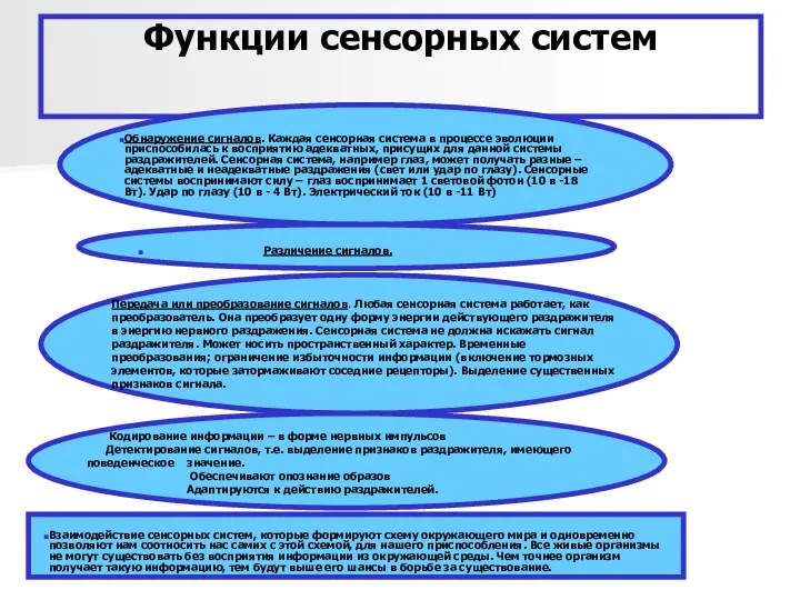 Функции сенсорных систем Обнаружение сигналов. Каждая сенсорная система в процессе