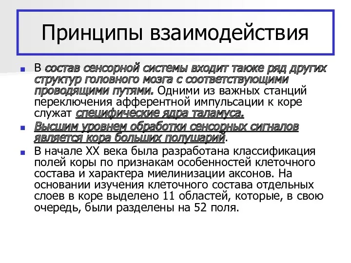 Принципы взаимодействия В состав сенсорной системы входит также ряд других