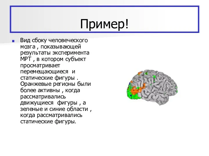 Пример! Вид сбоку человеческого мозга , показывающей результаты эксперимента МРТ