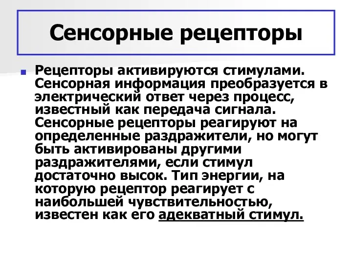 Сенсорные рецепторы Рецепторы активируются стимулами. Сенсорная информация преобразуется в электрический