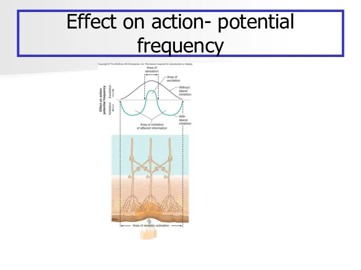 Effect on action- potential frequency