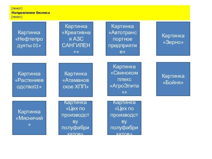 Картинка «Нефтепродукты 01» Картинка «Креативная АЗС САНГИЛЕН+» [текст] Направления бизнеса