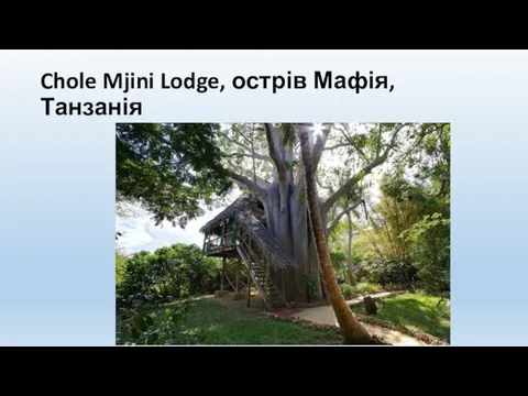 Chole Mjini Lodge, острів Мафія, Танзанія
