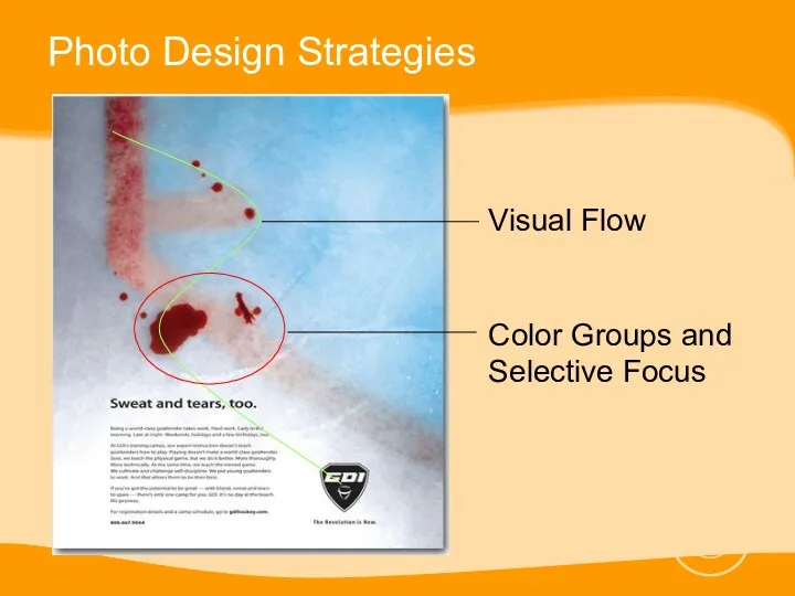 Photo Design Strategies Visual Flow Color Groups and Selective Focus