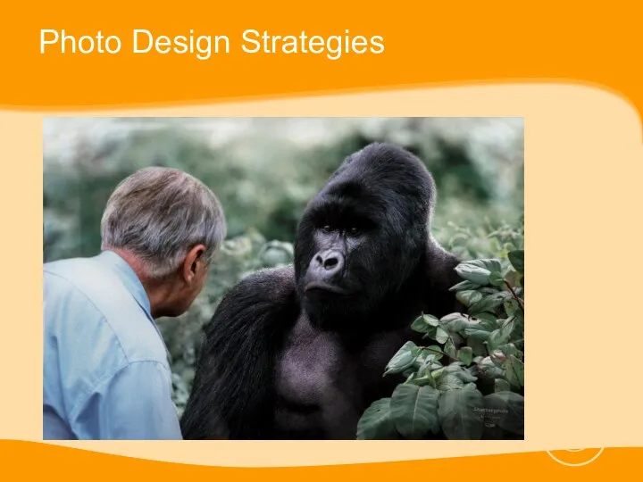 Photo Design Strategies