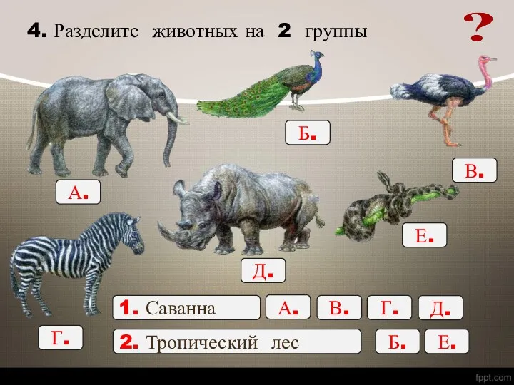 4. Разделите животных на 2 группы А. Б. В. Г. Д. Е. 1.