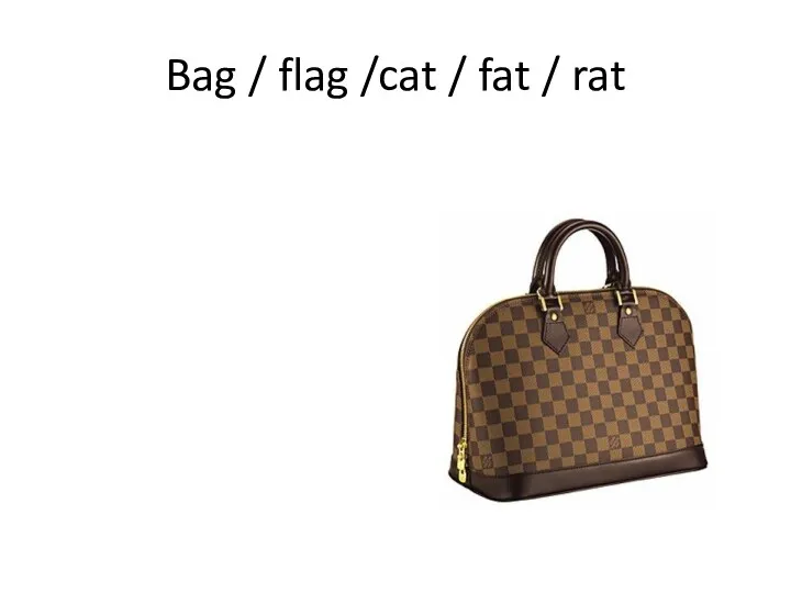 Bag / flag /cat / fat / rat
