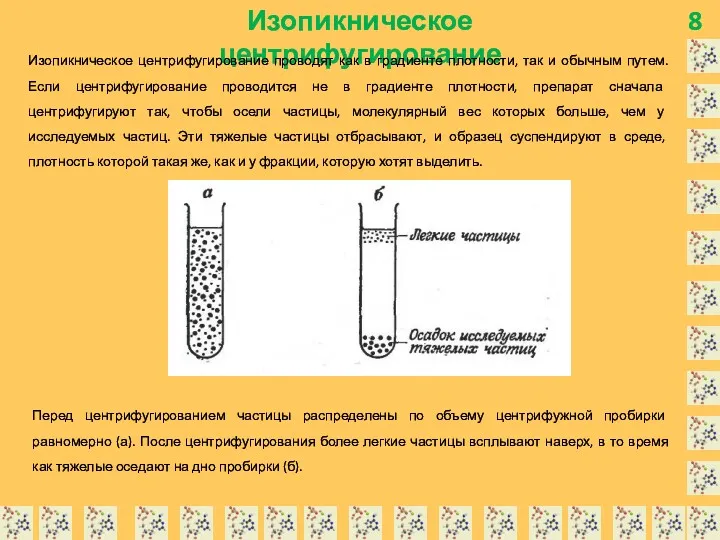 8 Изопикническое центрифугирование Перед центрифугированием частицы распределены по объему центрифужной пробирки равномерно (а).