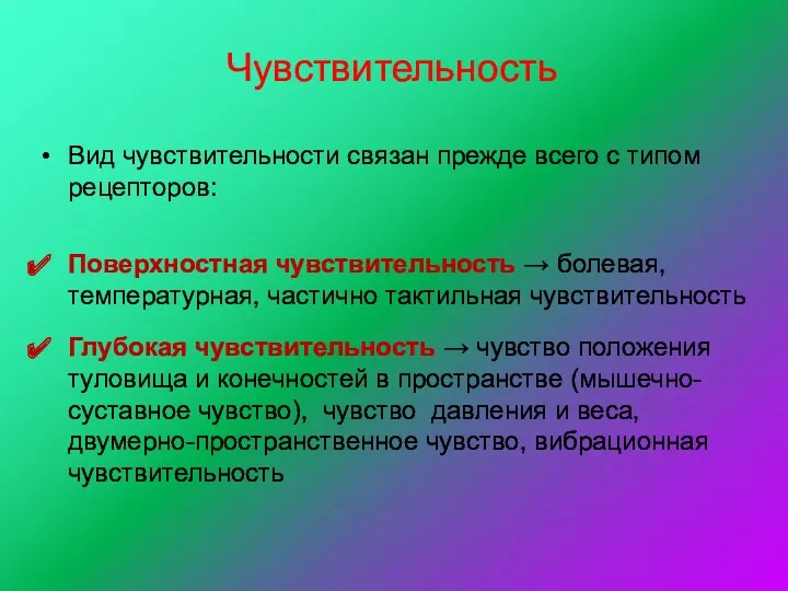 Чувствительность Вид чувствительности связан прежде всего с типом рецепторов: Поверхностная