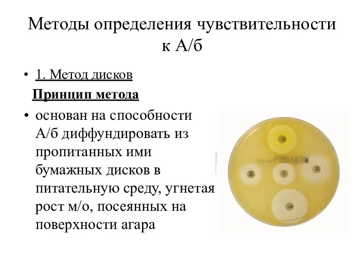 Методы определения чувствительности к А/б 1. Метод дисков Принцип метода