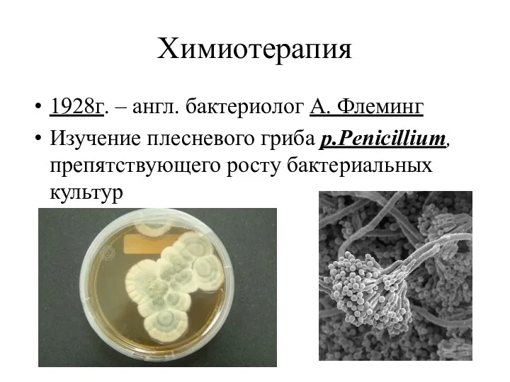Химиотерапия 1928г. – англ. бактериолог А. Флеминг Изучение плесневого гриба р.Penicillium, препятствующего росту бактериальных культур