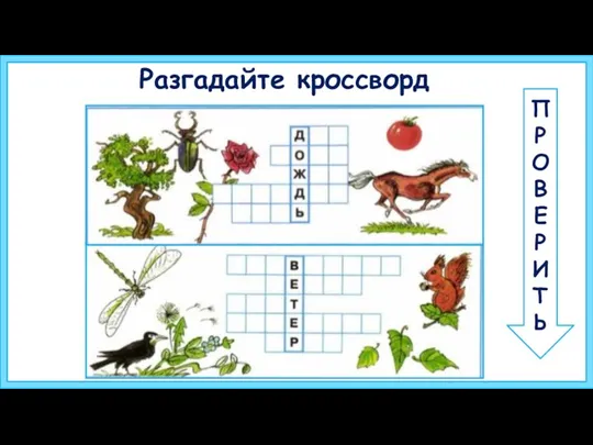 Разгадайте кроссворд П Р О В Е Р И Т Ь