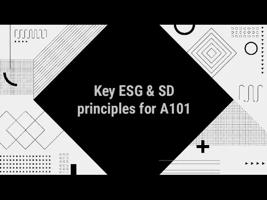 Key ESG & SD principles for A101