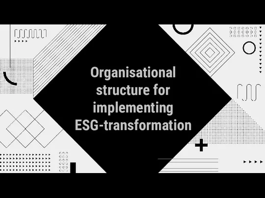 Organisational structure for implementing ESG-transformation
