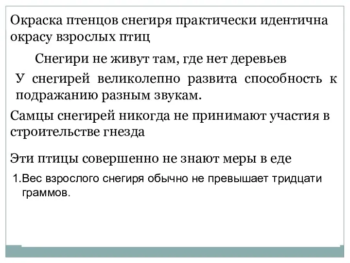 Окраска птенцов снегиря практически идентична окрасу взрослых птиц Снегири не