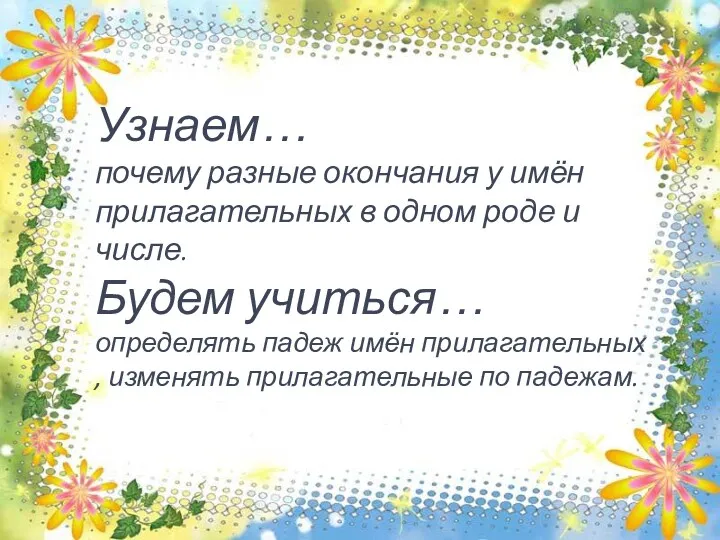 Узнаем… почему разные окончания у имён прилагательных в одном роде