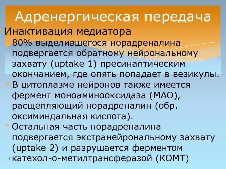 Адренергическая передача Инактивация медиатора 80% выделившегося норадреналина подвергается обратному нейрональному