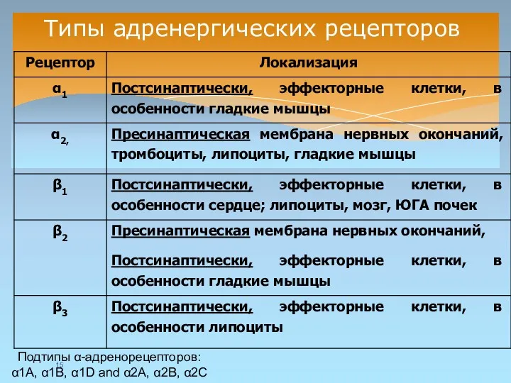 Типы адренергических рецепторов Подтипы α-адренорецепторов: α1A, α1B, α1D and α2A, α2B, α2C