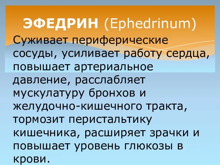 Суживает периферические сосуды, усиливает работу сердца, повышает артериальное давление, расслабляет