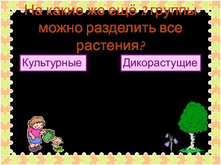 На какие же ещё 2 группы можно разделить все растения?